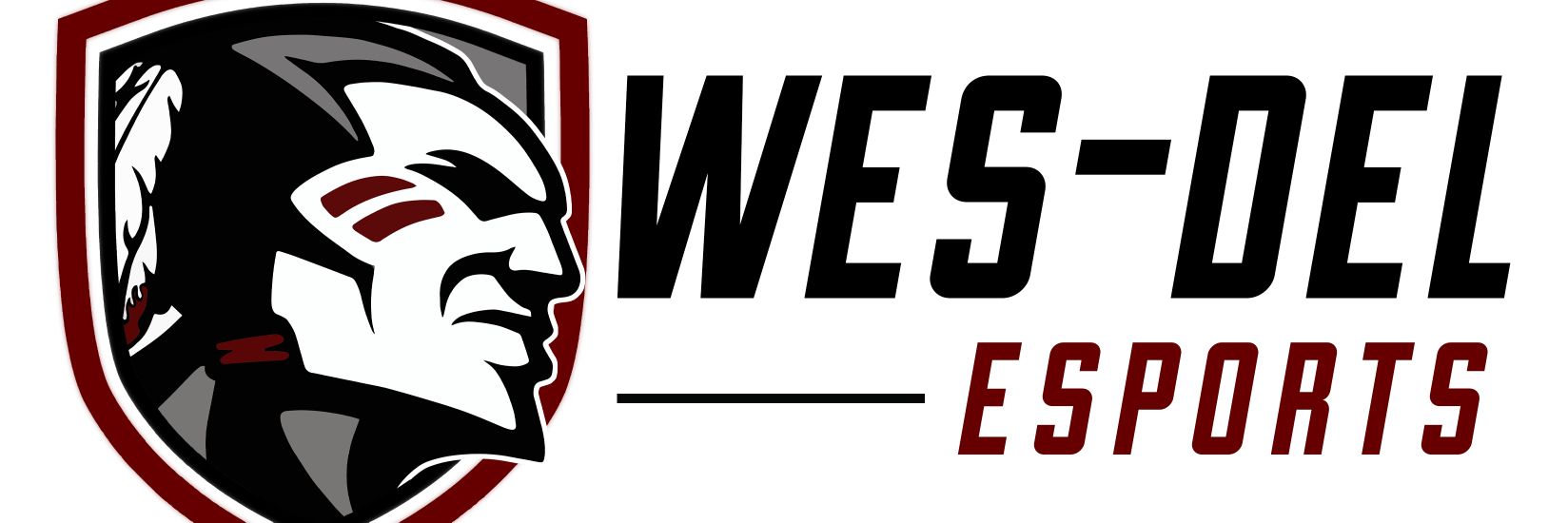 Wes-Del Esports banner