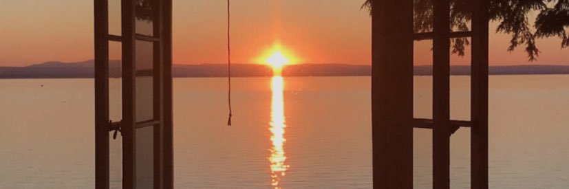 Will banner
