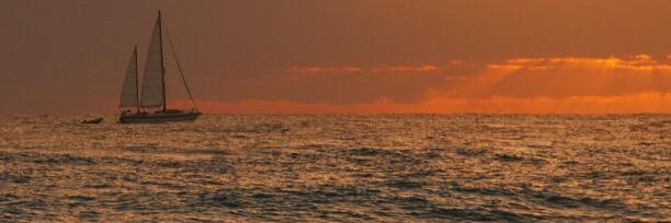 D_Roycroft's profile banner image