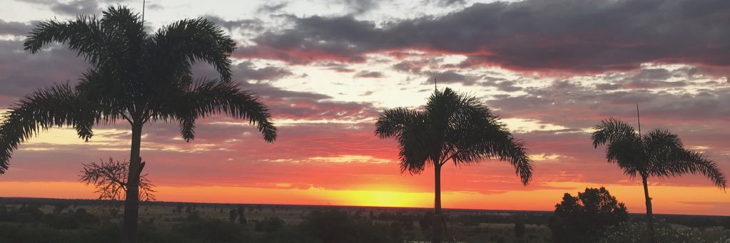demxlord's profile banner image