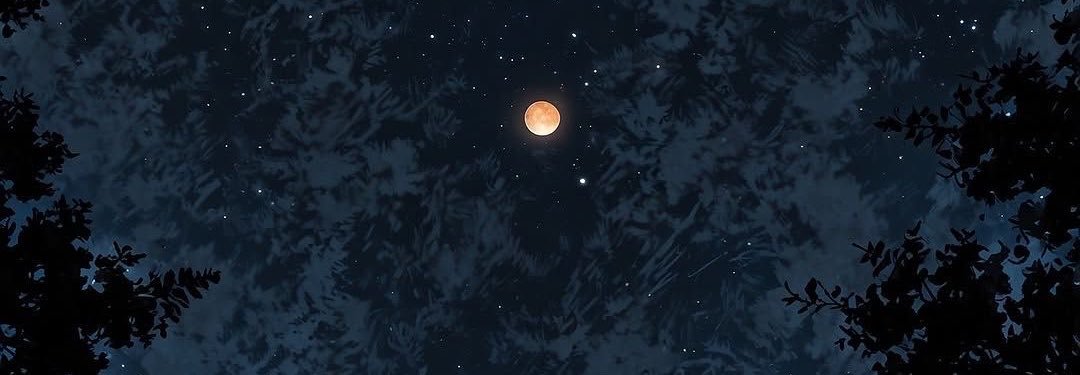 9Txir's profile banner image