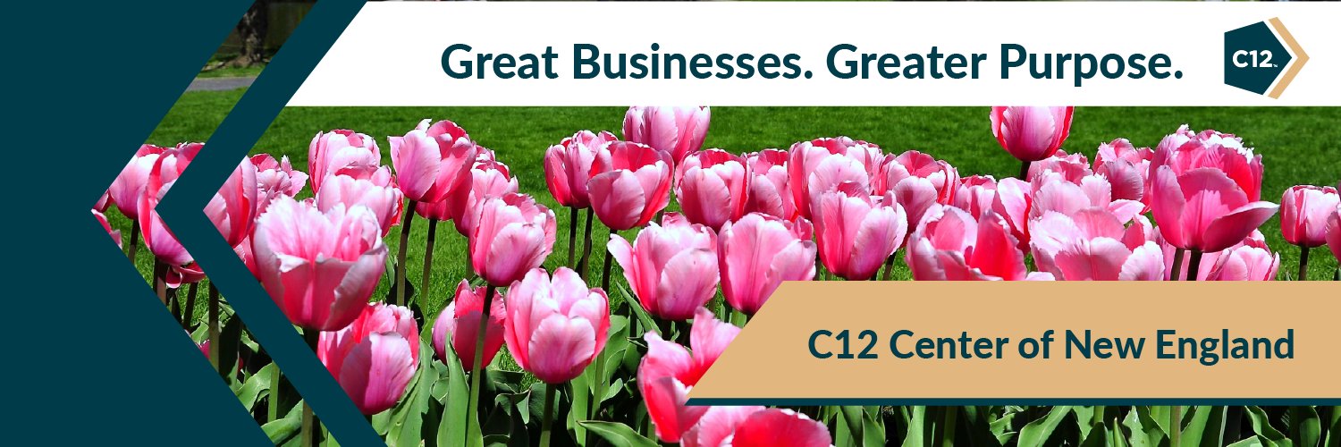 c12cne's profile banner image
