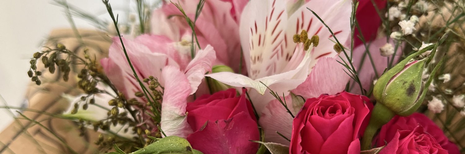 mimi ᛐᛗᛚ banner