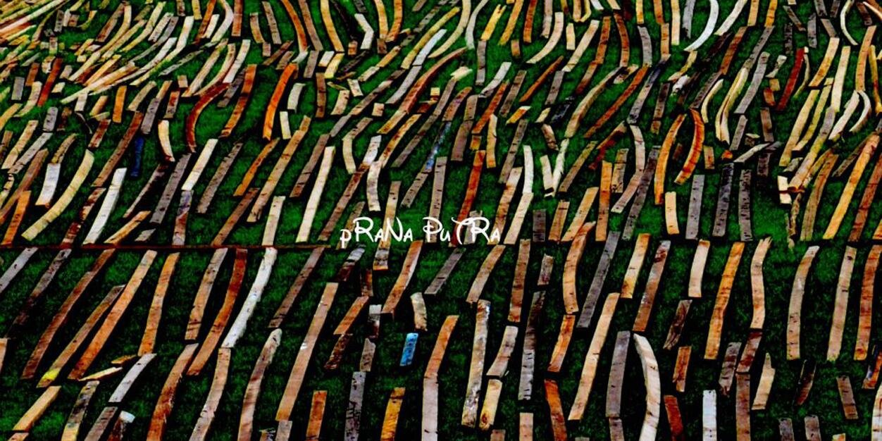 pRaNaV_o7's profile banner image