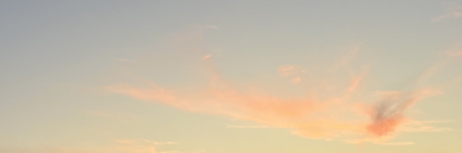 luuanns's profile banner image