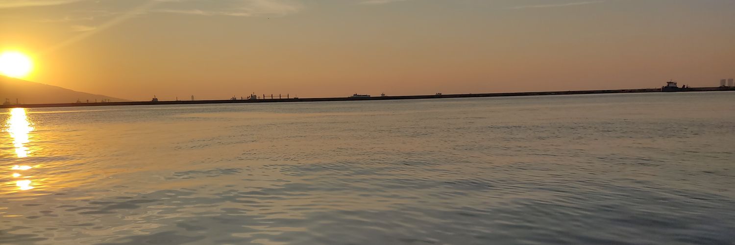 frsrtcn's profile banner image