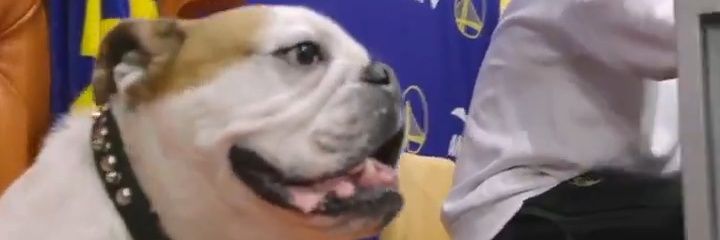 49gswMAD's profile banner image