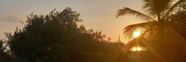 everpalomo Profile Banner