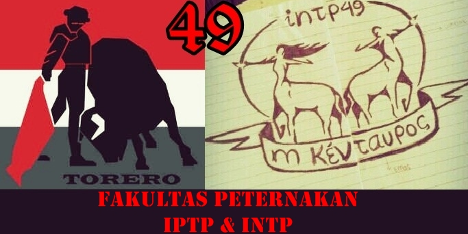 Cowboy 49 banner