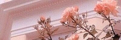 𝑳𝑴 banner