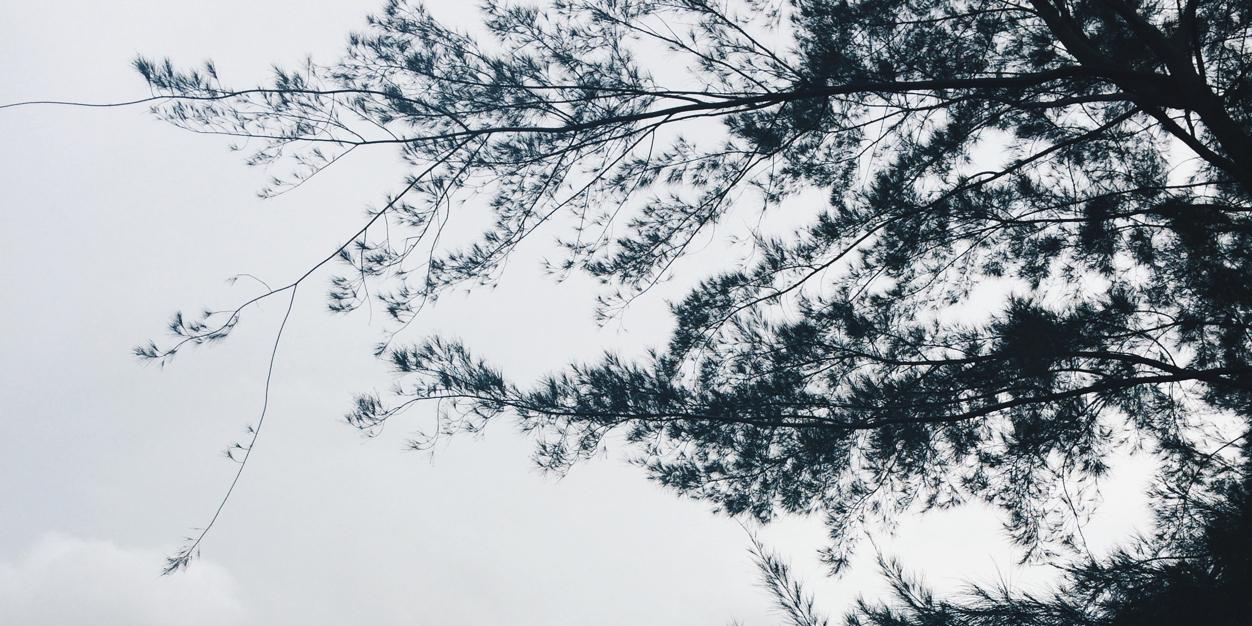 JulianeBenedict's profile banner image