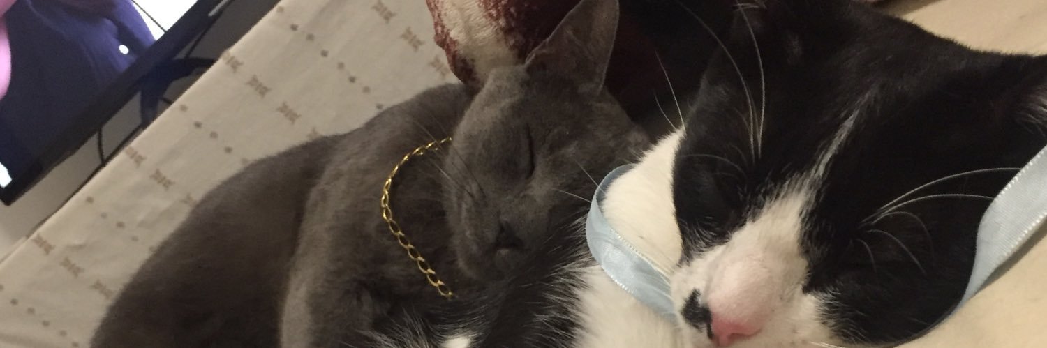 panmendes's profile banner image