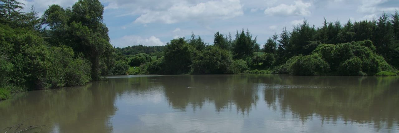 T&T PROPERTIES LTD banner