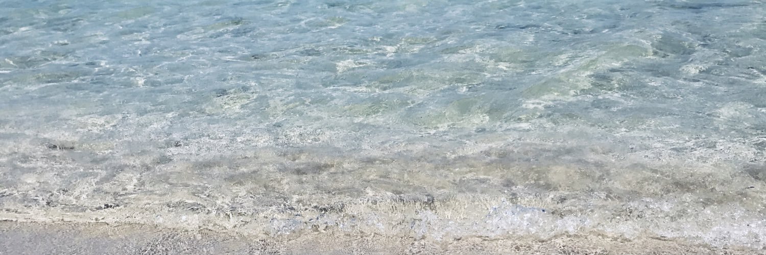 ZecchiniGaia's profile banner image