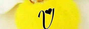 VijenderDas1's profile banner image
