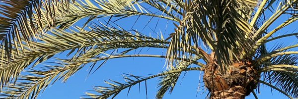 s_alharbi2020 Profile Banner