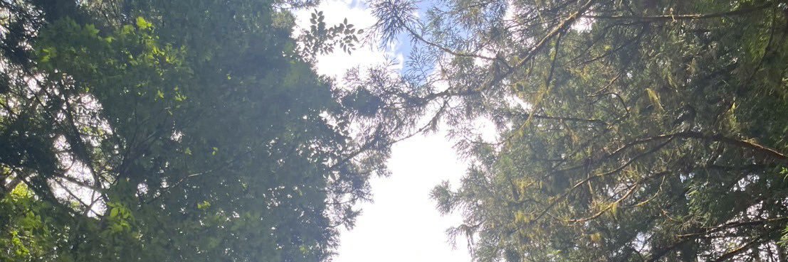 彩 banner