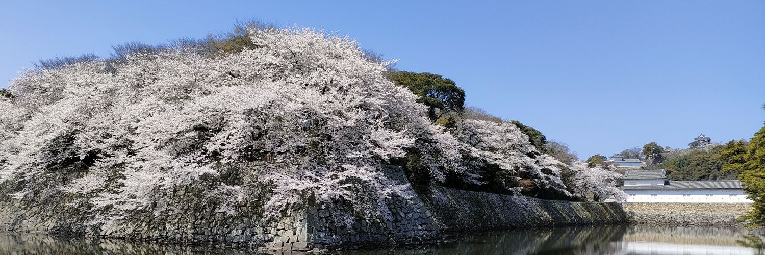 kuro_pero's profile banner image