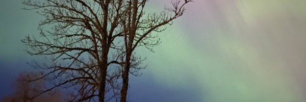 maarjapunak Profile Banner