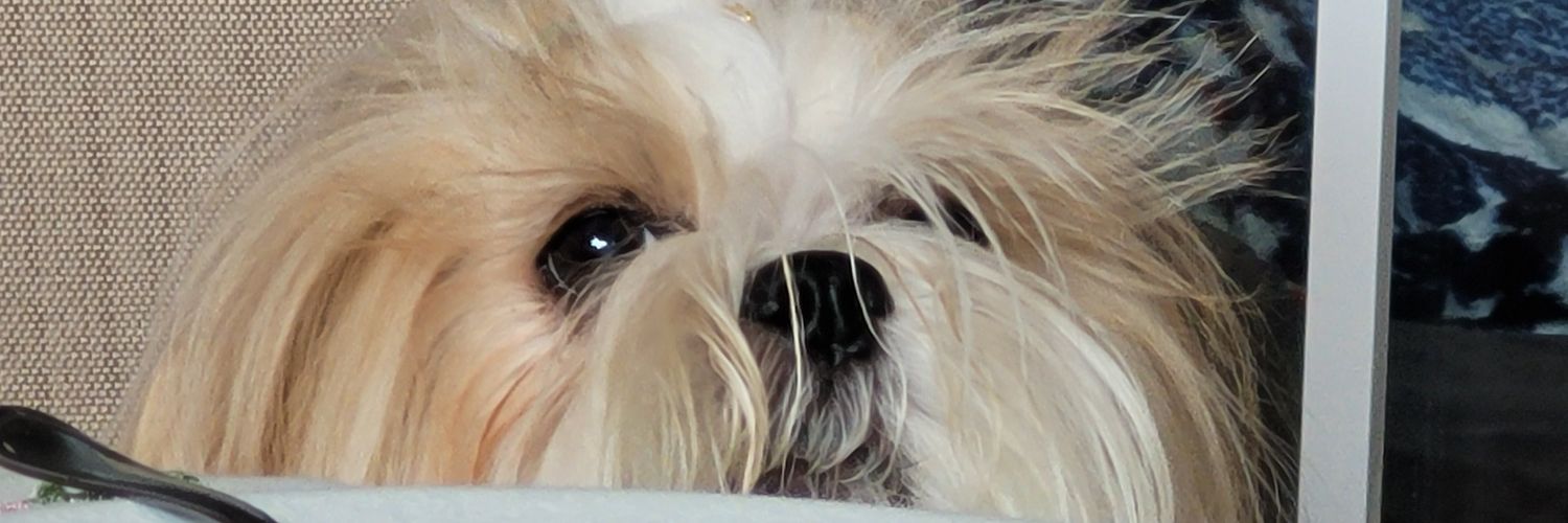 vini.ts banner