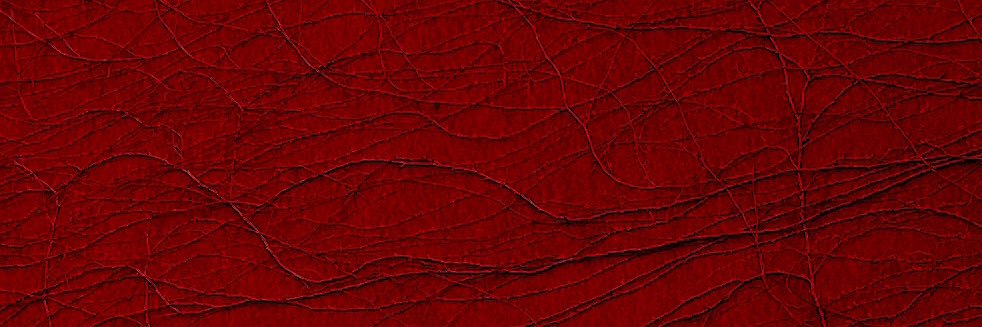 👁‍🗨蛛眼羔羊SIDSN's banner