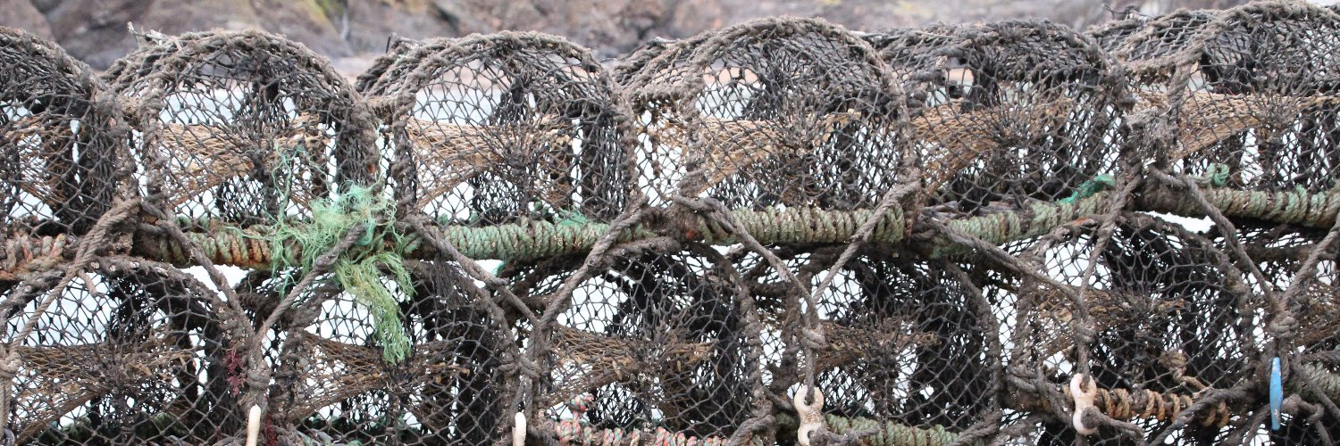 Bernie Conroy banner