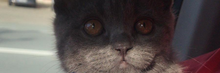 onuraydn94's profile banner image