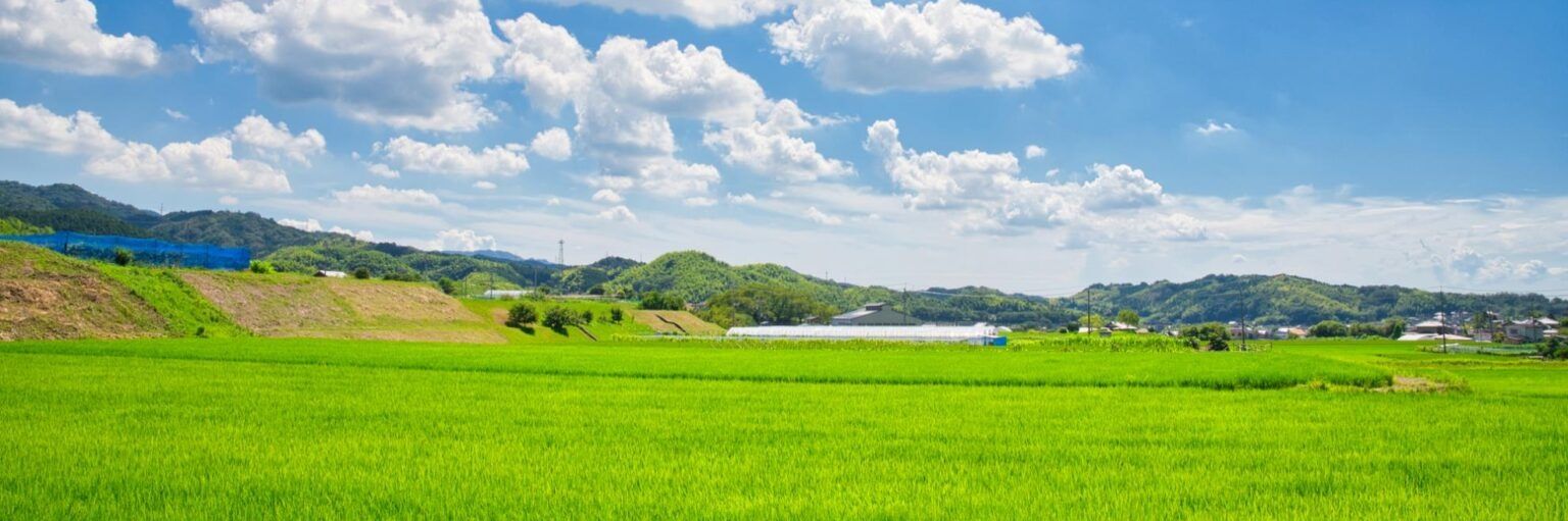 save_hiroshima's profile banner image
