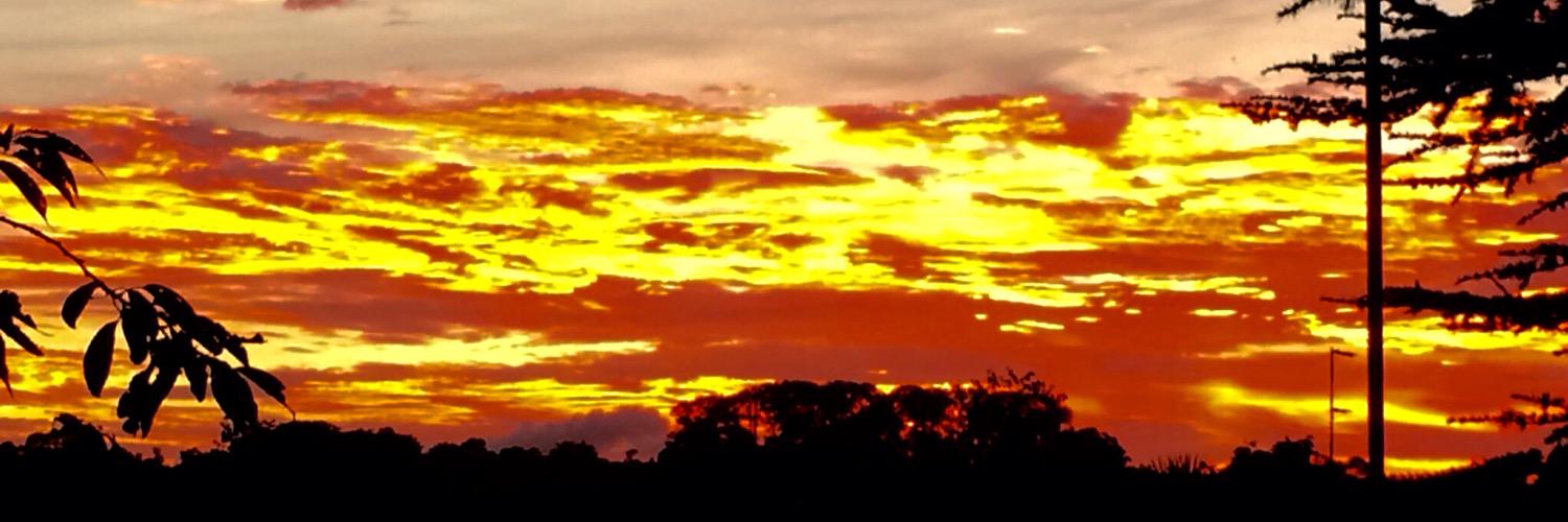 phredsnaps's profile banner image