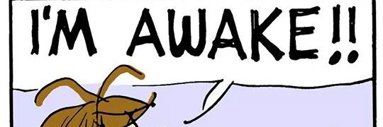 Isabell Dodd banner