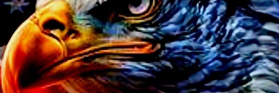 Clement96926778's profile banner image