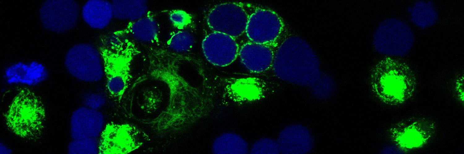 Lab van Egmond banner