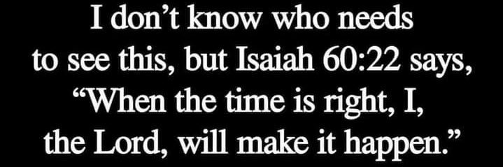 Black Budafly♡ banner