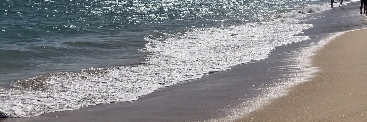 𝓡 banner