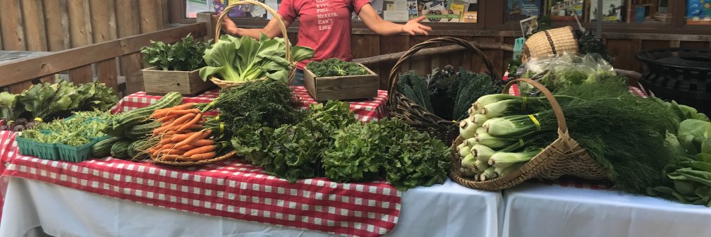 Organic Farm School banner