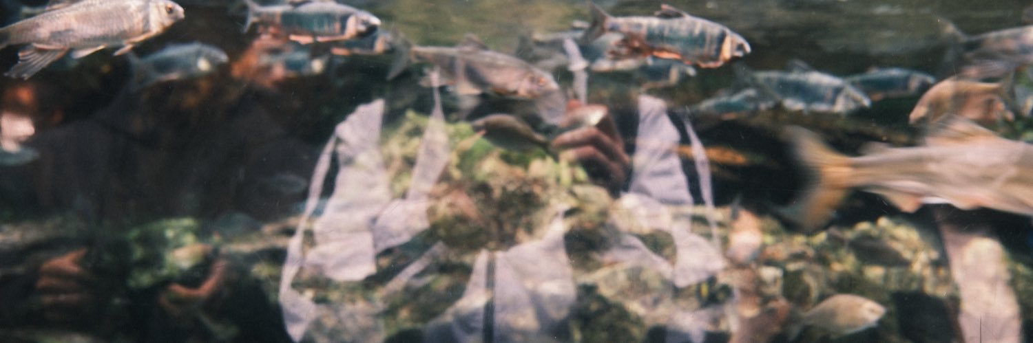 fragment_device's profile banner image