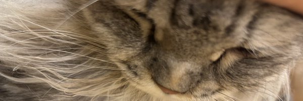 ffll_0617 Profile Banner