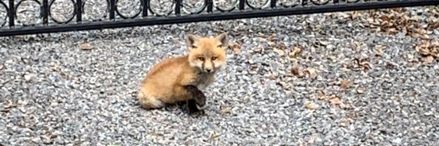 (Frank) Lovethyenemy banner