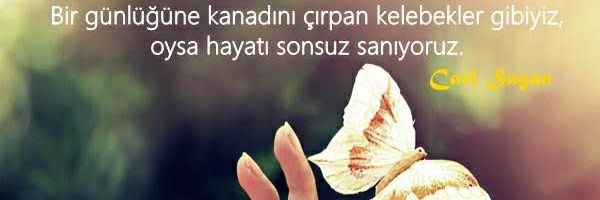 Orhan banner