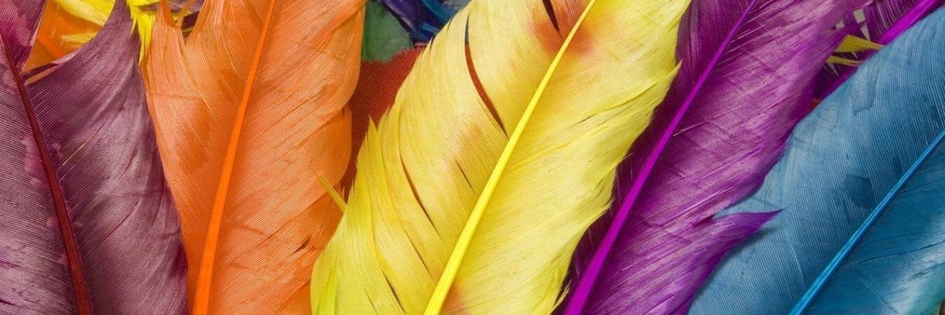 alacoquerose's profile banner image