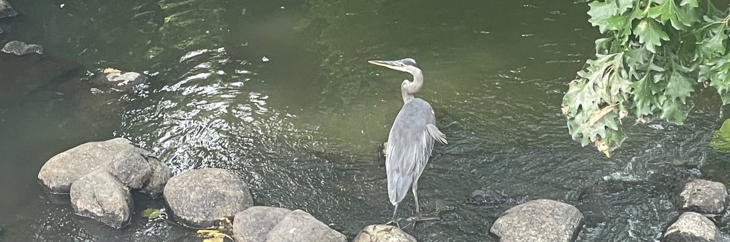 The Once and Future King banner