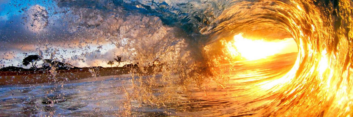 linkyke 🩸🩸🩸🐍🐝🍯 banner