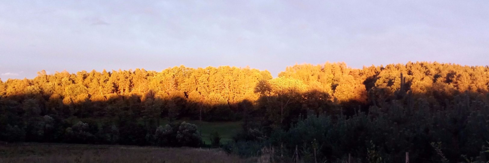 Radouch News 🇨🇿 banner