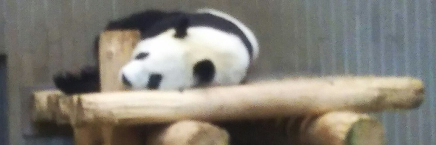 syupapun's profile banner image