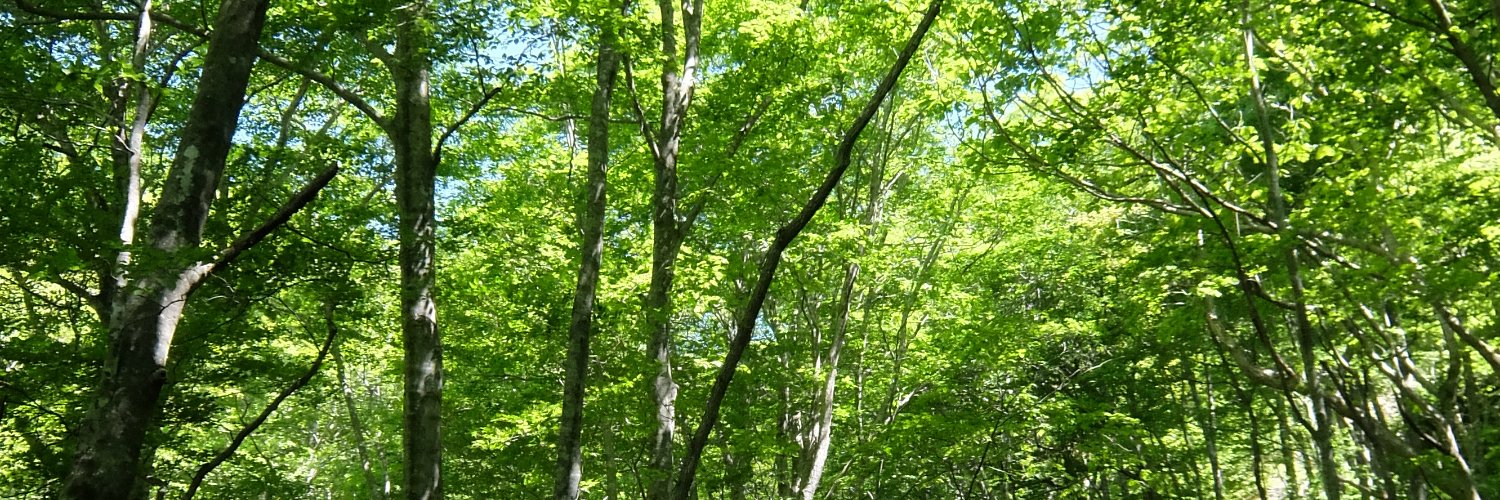 hagane_t's profile banner image
