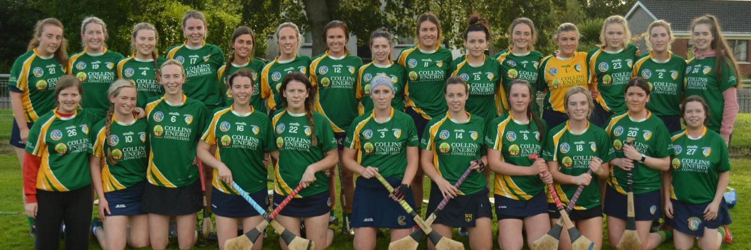 Newtownshandrumcamogieclub banner