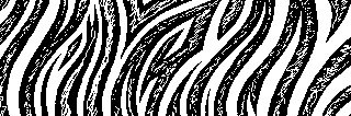 Shimi banner