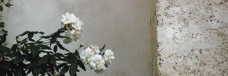 thereveli's profile banner image