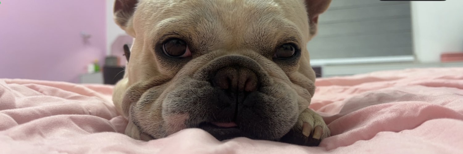 __Estrellalopez's profile banner image