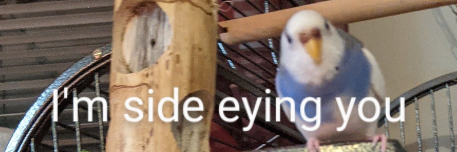 Budgie Mom (Ketchup Chip Canadian) 🇨🇦 banner